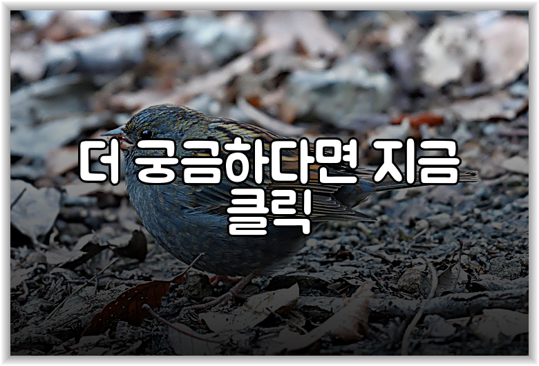 더 궁금하다면 지금 클릭
