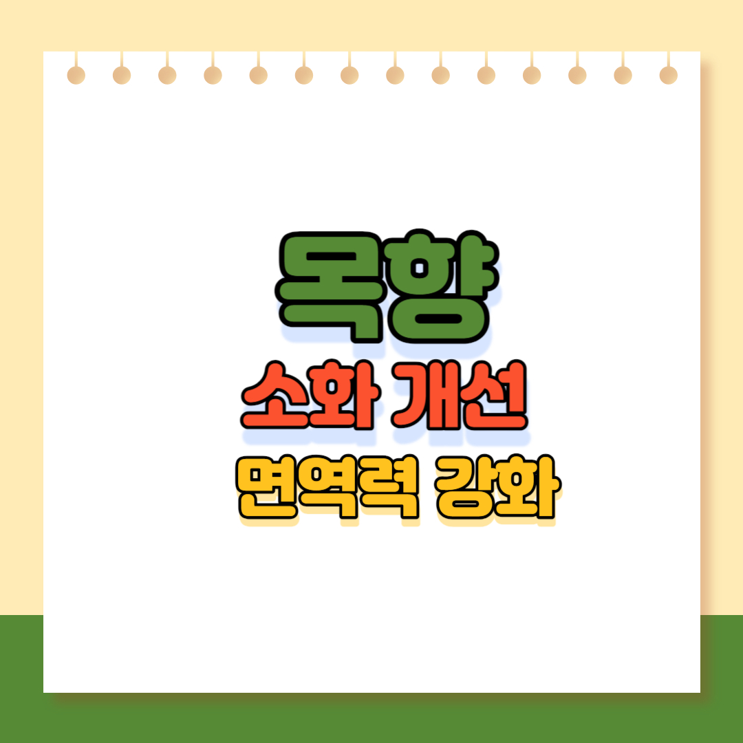 목향 효과효능 메인이미지