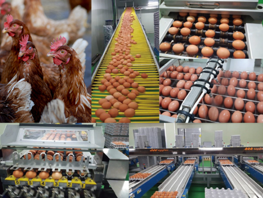 한솔루트원(주) 맘란