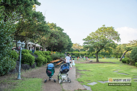 제주도 가볼만한곳 10곳