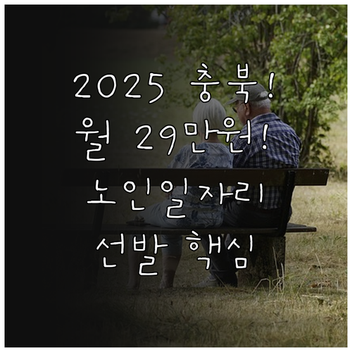 2025 충청북도 노인일자리 지원 대..