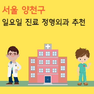 서울 양천구 일요일 진료 정형외과 추천