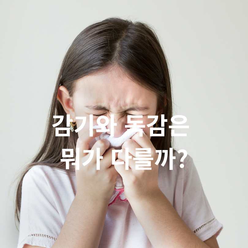A형독감 vs B형독감 증상 차이 