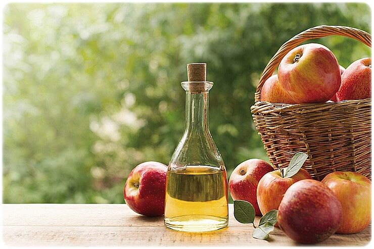 강아지 피부에 좋은 음식