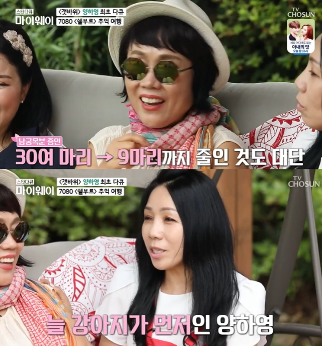 양하영 가수 나이 프로필 한마음 결혼 남편 강영철 이혼 과거 리즈