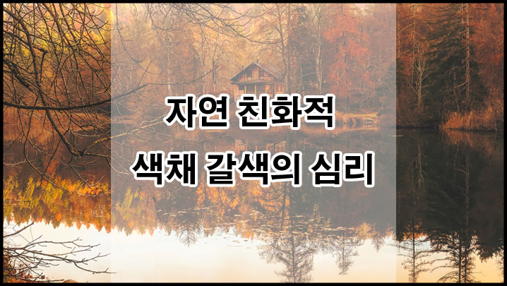 자연색깔