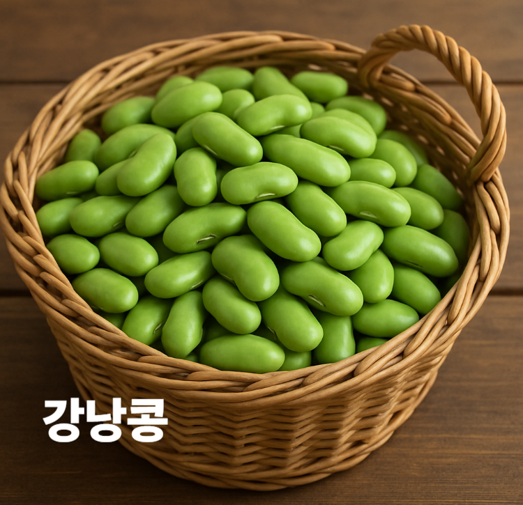 당뇨예방 혈압조절 스트레스완화 다이어트 강낭콩 효능 영양성분