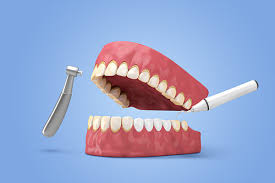 잇몸 염증 베스트