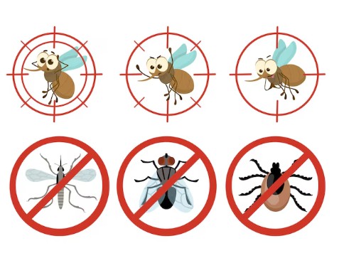 날파리-알-퇴치-제거-없애는-법-5