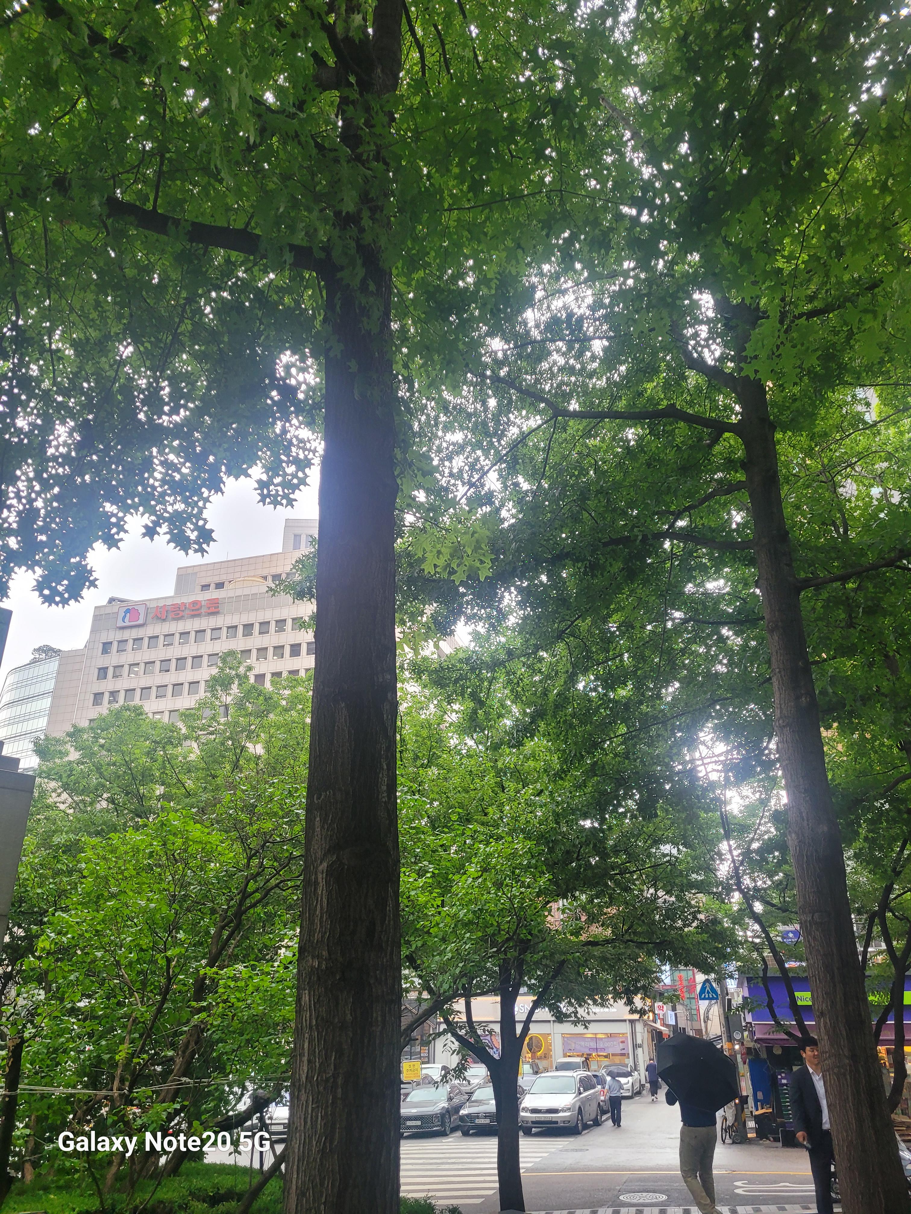 주변