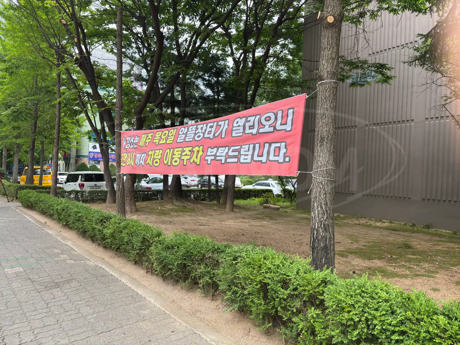 경기도-고양시-덕양구-햇빛마을23단지-아파트-현수막-알뜰장터