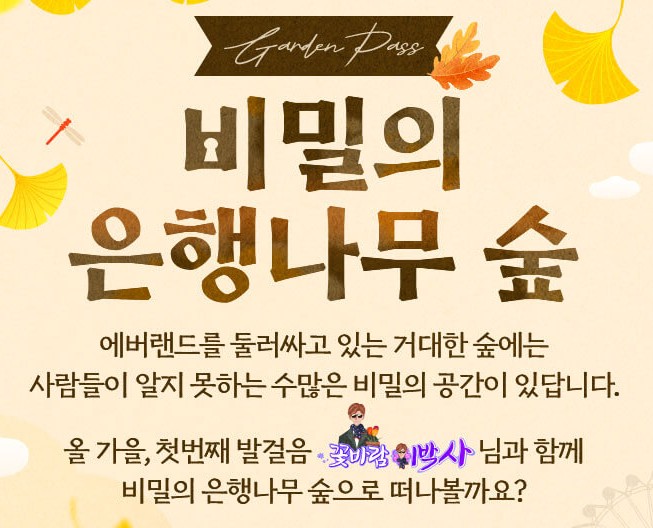 에버랜드 비밀의 은행나무 숲