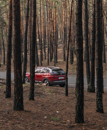 쏘카 고객센터 전화번호