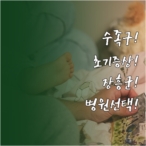 수족구 초기 증상부터 장흥군 병원 선..
