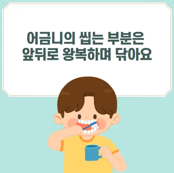 올바른 양치질 방법