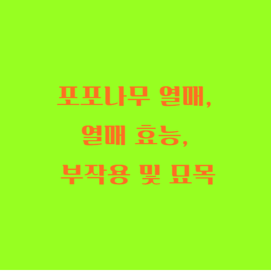 포포나무 열매&#44; 열매 효능&#44; 부작용 및 묘목