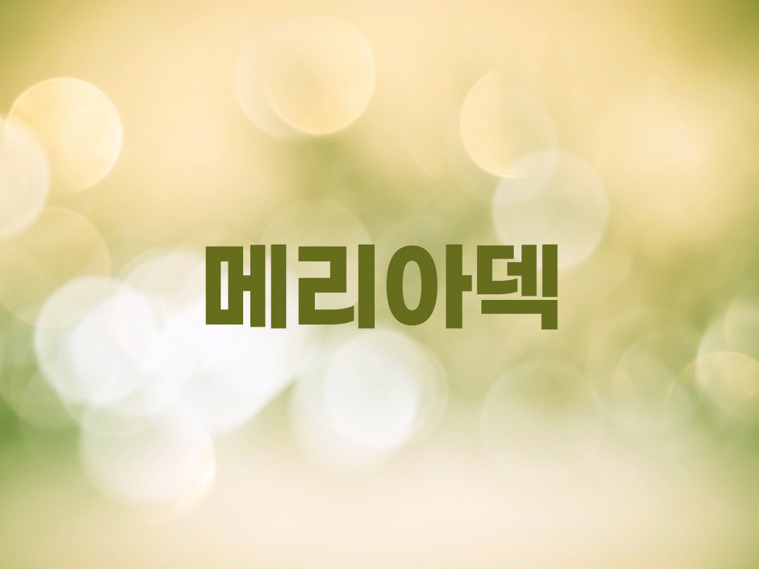 메리아덱 천주교 남자세례명