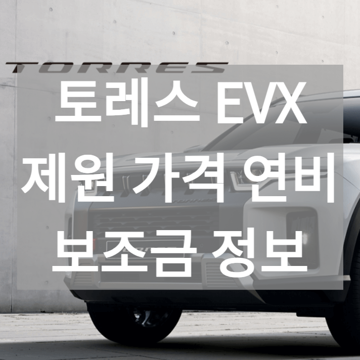 토레스 EVX 스팩 가격 보조금 정보