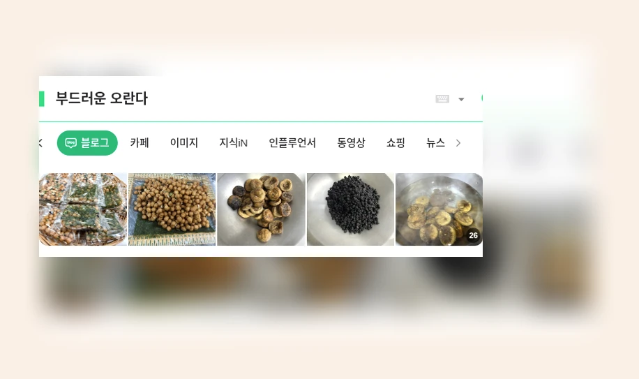 부드러운 오란다_1_subsection