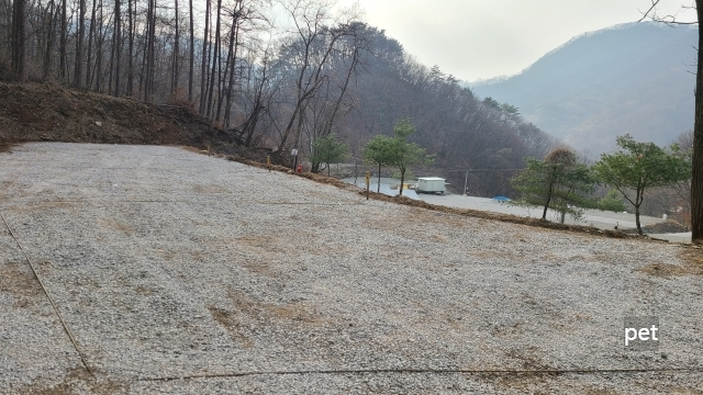 경기-연천-숲속의쉼터-캠핑장-예약-방법-애견-동반-가격-주소-시간-후기