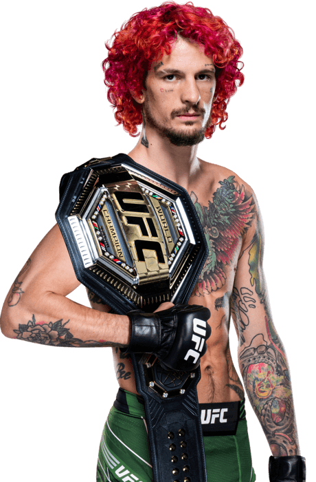 ufc 299 오말리