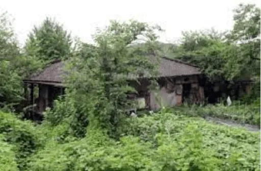 임대차 계약신고제 위반 시 과태료와 대응법