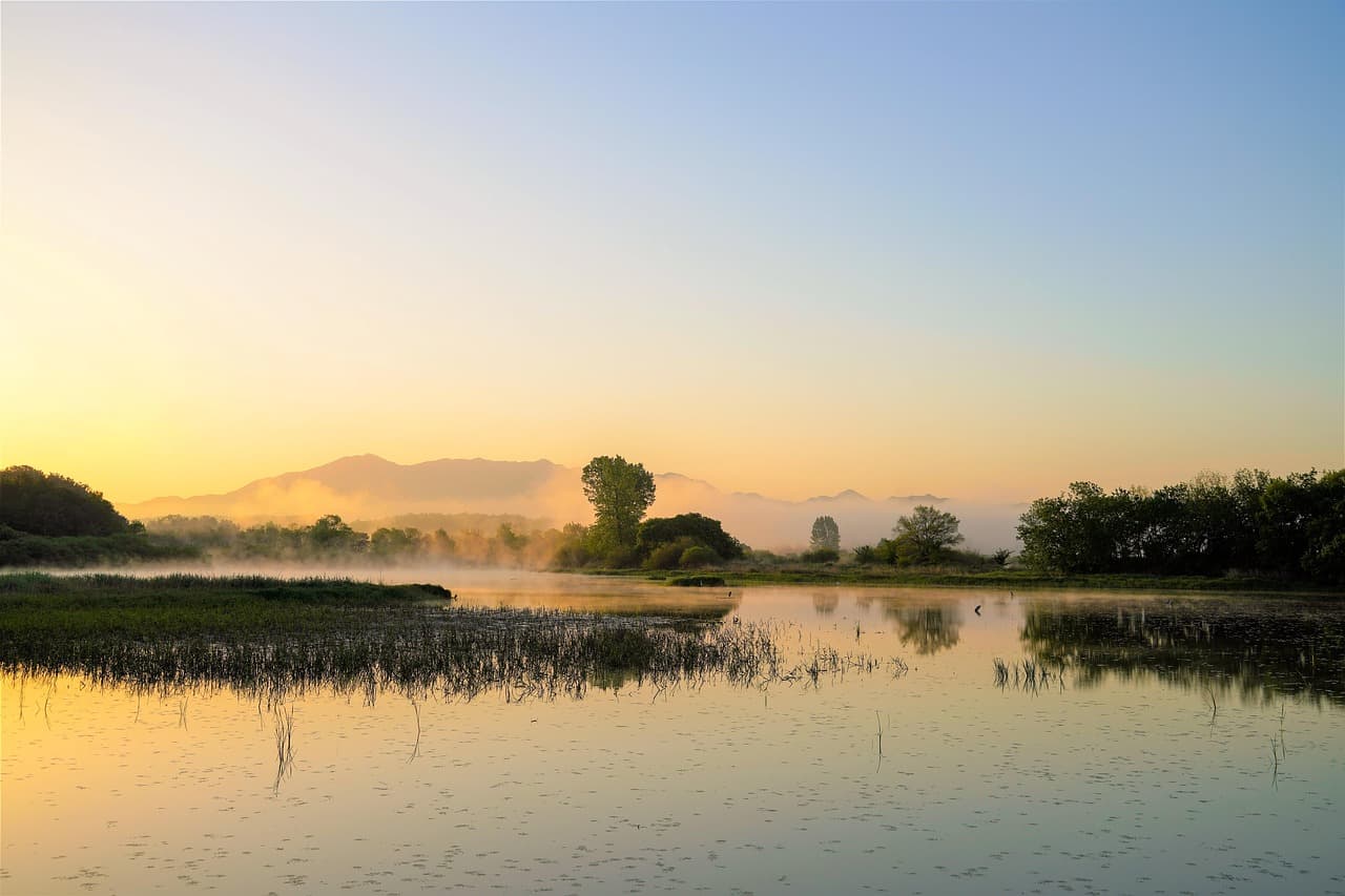 창녕 우포늪 억새와 철새가 그리는 늦가을 풍경 2025 가을 생태 여행