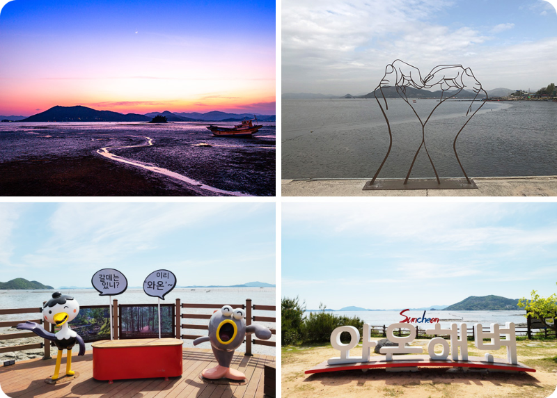 전남 순천 와온 해변 새해 일출 명소/출처: 순천시청