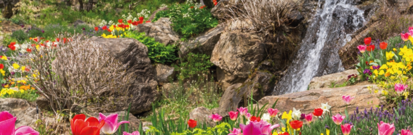 화담숲 주차·대중교통·입장 동선 완벽 정리|처음 가도 안 헤매는 방법