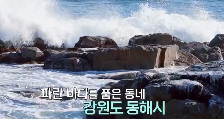 동해바다
