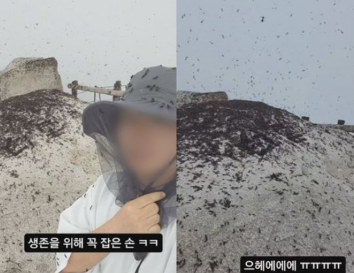 북한산-러브버그