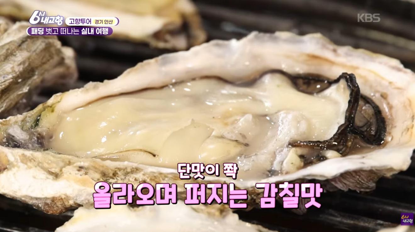 6시 내고향 안산 굴구이