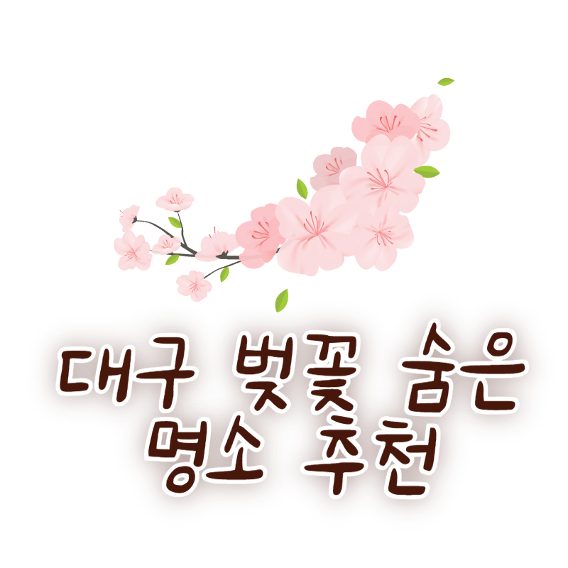 대구 벚꽃 숨은 명소 추천