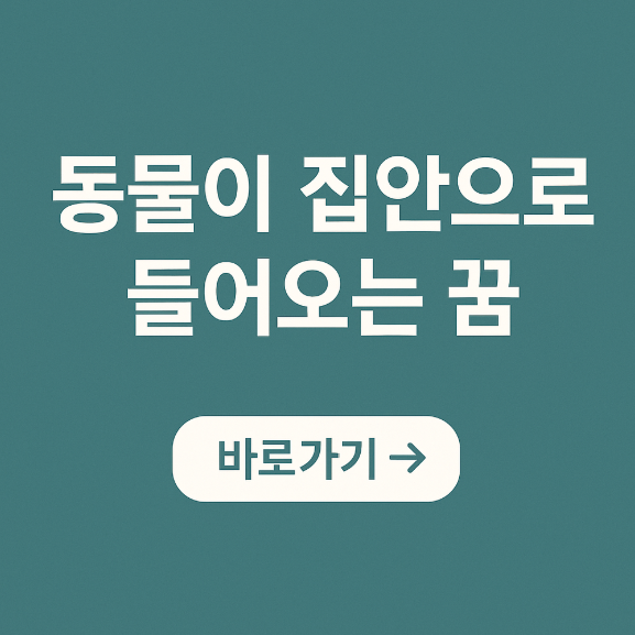 동물이 집안으로 들어오는 꿈