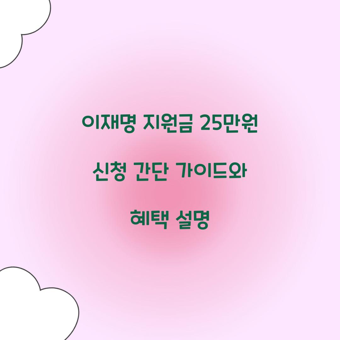 이재명 지원금 25만원