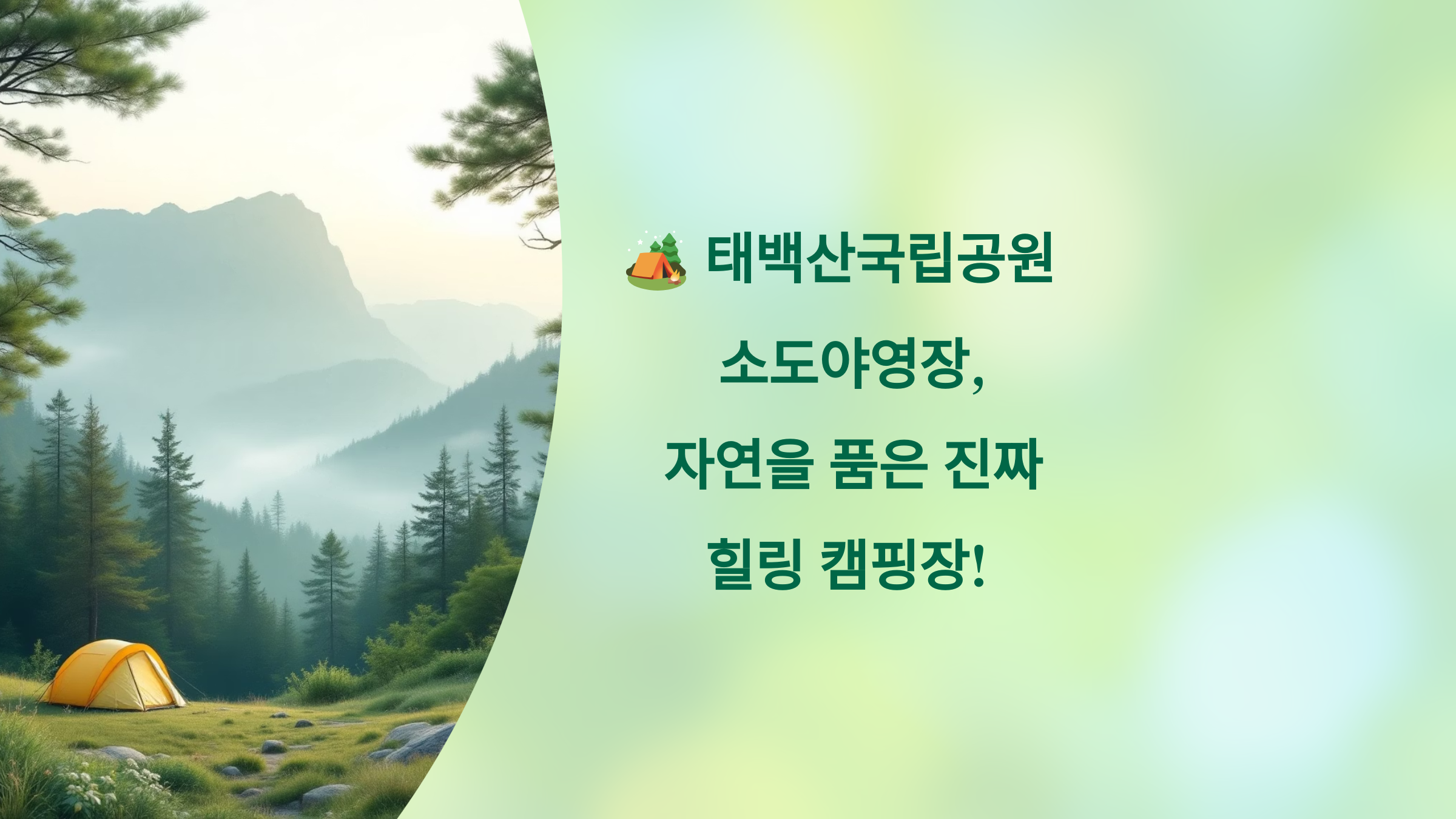 🏕️ 태백산국립공원 소도야영장, 자연을 품은 진짜 힐링 캠핑장!
