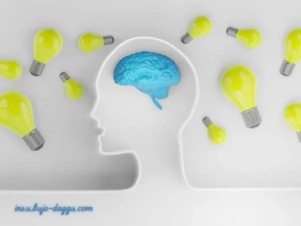 계약자&middot;피보험자 분쟁 완벽 정리