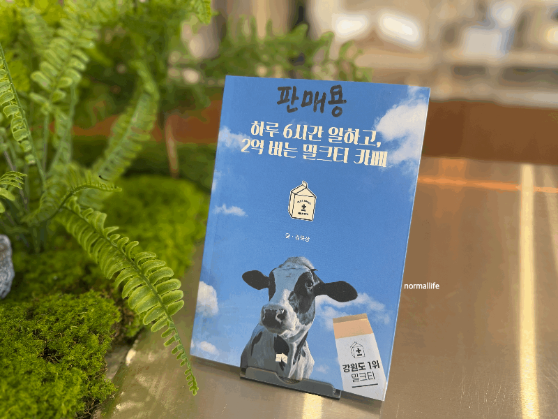 강원도 1위 밀크티