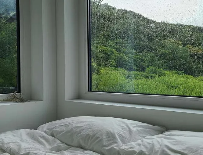 스테이무메