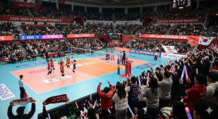 2025-2026 V-리그 여자부 경기장에서 환호하는 관중들과 선수들의 역동적인 모습