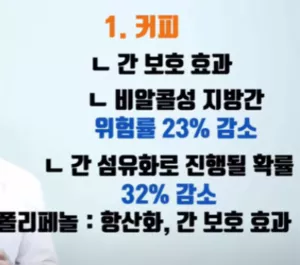 커피가-지방간에-좋은점-텍스트-파일
