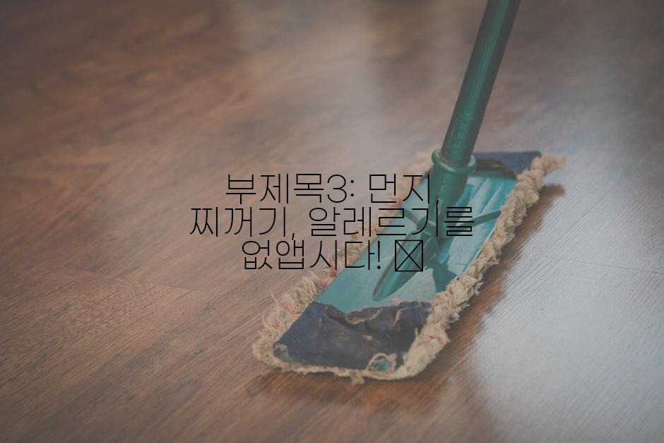 부제목3: 먼지, 찌꺼기, 알레르기를 없앱시다! 💨