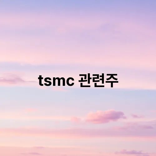 tsmc 관련주