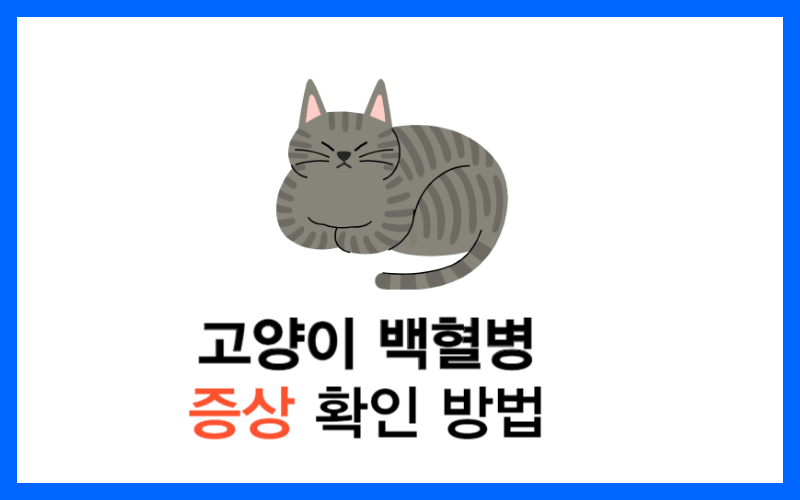 고양이-백혈병-증상-조기-확인-썸네일
