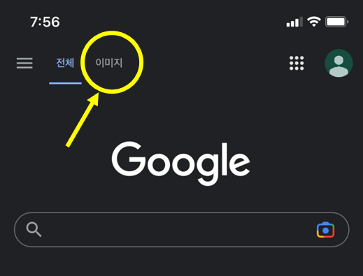 아이폰 구글 이미지 검색하는 법