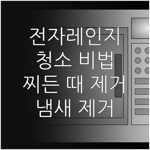 전자레인지 위생 관리: 찌든 때, 냄..