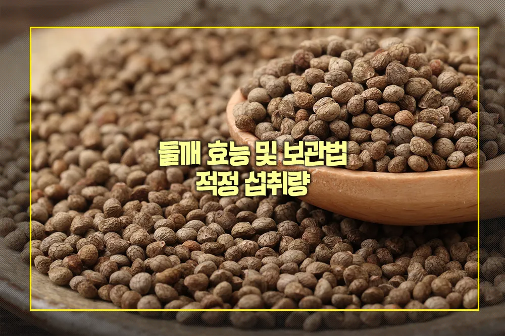 들깨 효능 보관법 적정 섭취량
