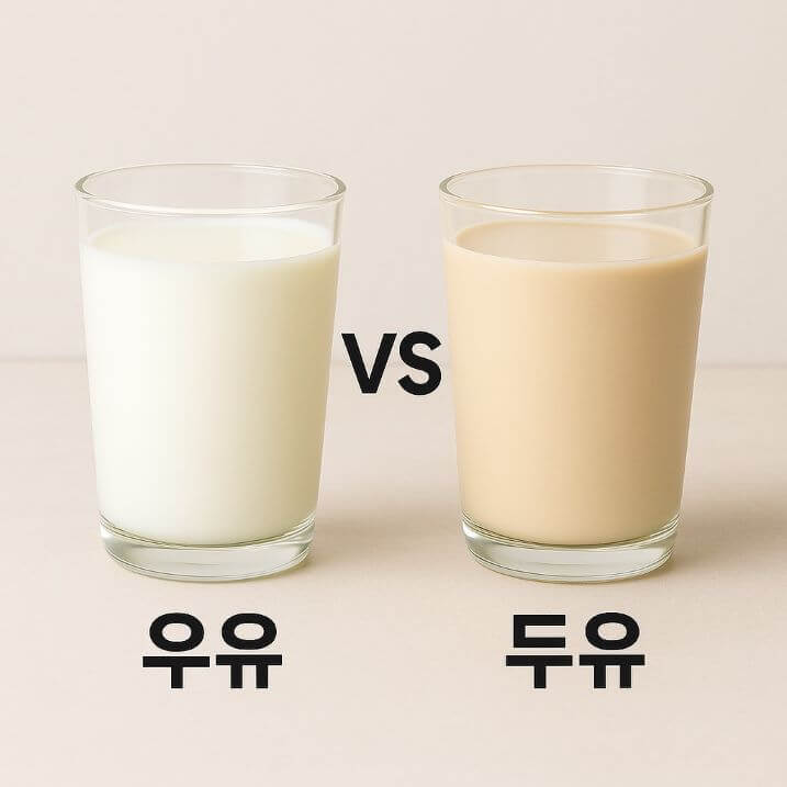 두유 vs 우유, 진짜 건강에 좋은 건?
