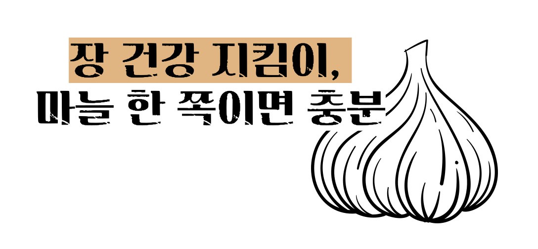 마늘 효능