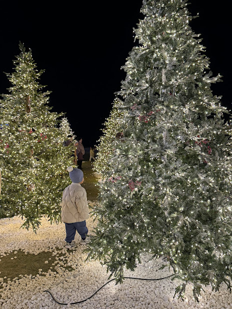 트리숲에서-산책하는-아이